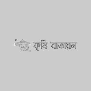 বারি নারিকেল-১