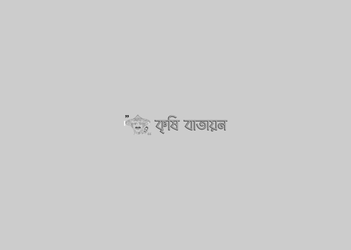 একজন বেলাল মাস্টারের মাল্টা বেলাল হয়ে ওঠার গল্প